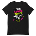 I Came I Raved I Forgot What Day It Is Tee