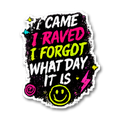 I Came I Raved I Forgot What Day It Is Sticker preview